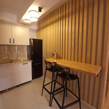 Elegant Cu Terasa Apartment *