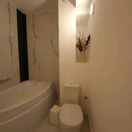 Elegant Cu Terasa Апартаменты Бухарест