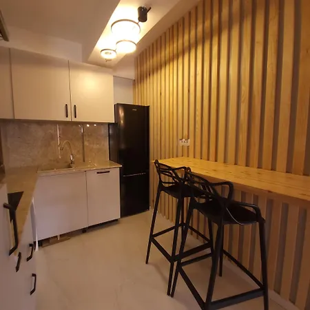Elegant Cu Terasa Apartment