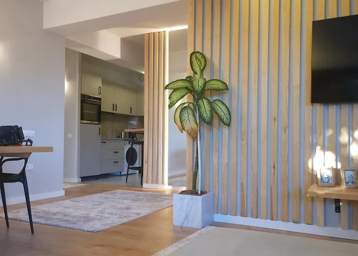 Elegant Cu Terasă *