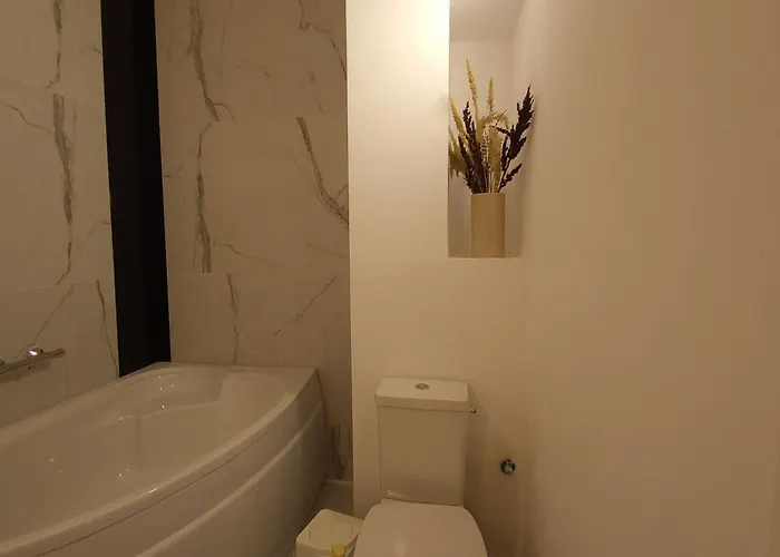 Elegant Cu Terasă Apartament Bucureşti